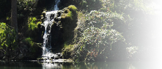 homepage_imagecycle_fpo2