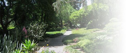 homepage_imagecycle_fpo2